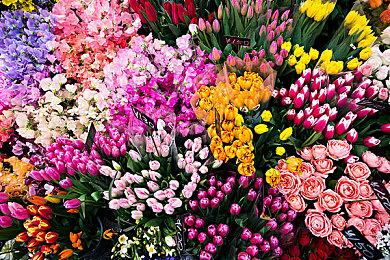 《异度神剑3》主角团泳装造型新截图 美女们更性感